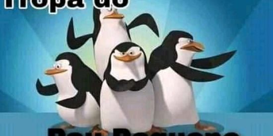 Imagem do grupo de WhatsApp ꧁🤬FALSIFICADORES DA WEB🥵꧂