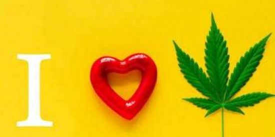 Imagem do grupo de WhatsApp I Lovee Brisee🍁❤️