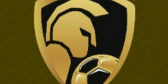 Imagem do grupo de WhatsApp Bolão Brasileirão 2021