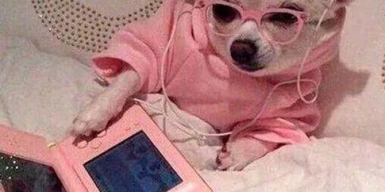 Imagem do grupo de WhatsApp GRUPO DE FIGURINHAS