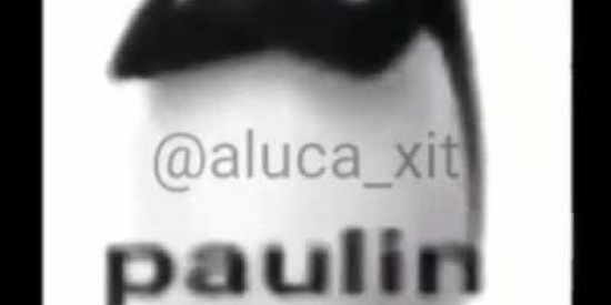 Imagem do grupo de WhatsApp Shitpost😎👍🏻