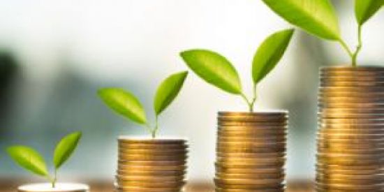 Imagem do grupo de WhatsApp Dinheiro todo dia :)