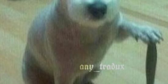 Imagem do grupo de WhatsApp 🇯🇵CHINÊS ❤️