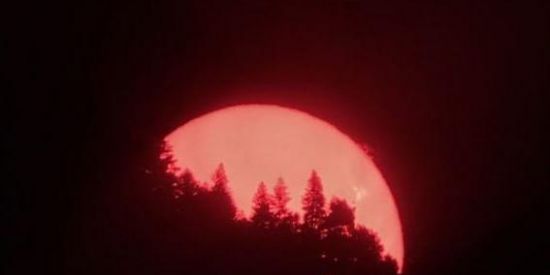 Imagem do grupo de WhatsApp AMIZADES COMPROMETEDORAS❤️