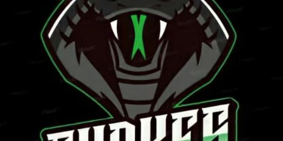 Imagem do grupo de WhatsApp 1°Recrutamento snakes🐍