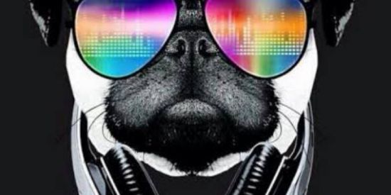 Imagem do grupo de WhatsApp ꧁ঔৣ☬✞ⱫɄɆl·Ɽ₳✞☬ঔৣ꧂