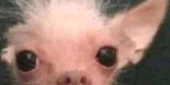 Imagem do grupo de WhatsApp Retardados e amigos