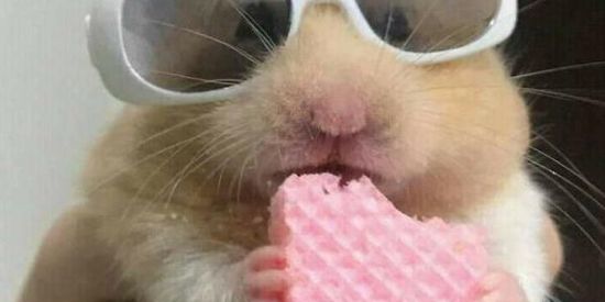 Imagem do grupo de WhatsApp 24 horas🪐🪄