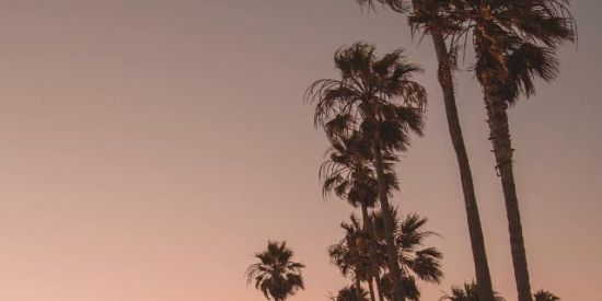 Imagem do grupo de WhatsApp ✨Novas amizades ✨