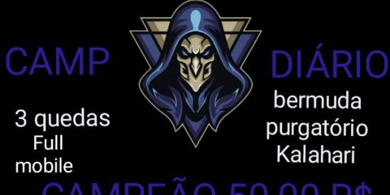 Imagem do grupo de WhatsApp CAMP DIARIO DO ZYP dia 8