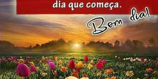 Imagem do grupo de WhatsApp AMIZADE COLORIDA CURITIBA