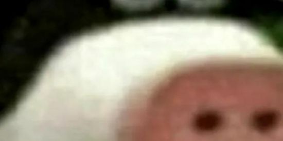 Imagem do grupo de WhatsApp Shitzin 0.9