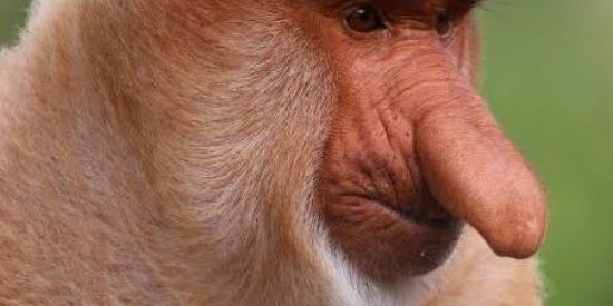 Imagem do grupo de WhatsApp Chão Molhado