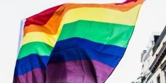Imagem do grupo de WhatsApp LGBTQIA+ Amizades🏳️‍🌈
