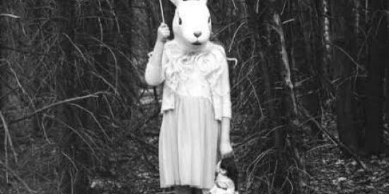 Imagem do grupo de WhatsApp ❍🐰†я๏קล ∂๏ ђ๏รקí¢เ๏🐰❍