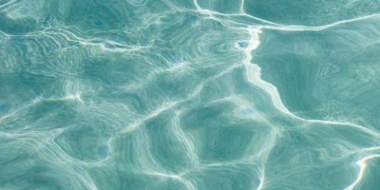 Imagem do grupo de WhatsApp Blogueiras