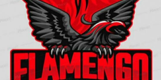 Imagem do grupo de WhatsApp XTREINO FL4