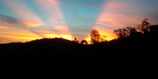 Imagem do grupo de WhatsApp Amigos