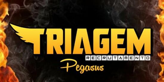 Imagem do grupo de WhatsApp 📌14🦁RECRUTAMENTO ADM📌