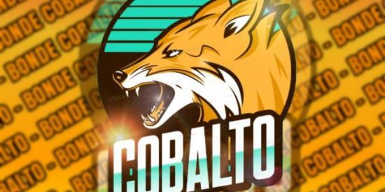 Imagem do grupo de WhatsApp 🦊BONDE COBALTO🦊