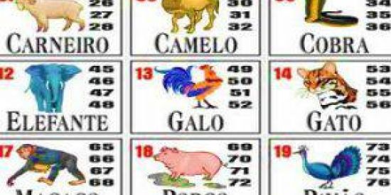 Imagem do grupo de WhatsApp Resultado Loterias