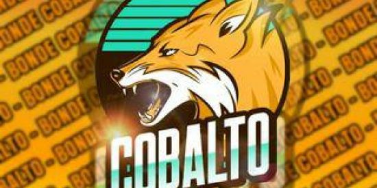 Imagem do grupo de WhatsApp 🦊RECRUTAMENTO COBALTO🦊