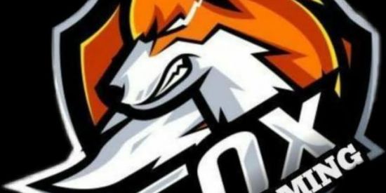 Imagem do grupo de WhatsApp X-TREINO FOX