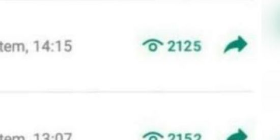 Imagem do grupo de WhatsApp divulgação de status✨