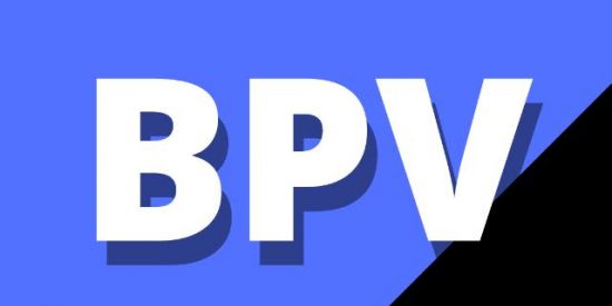 Imagem do grupo de WhatsApp Brasil Pela Verdade (BPV)