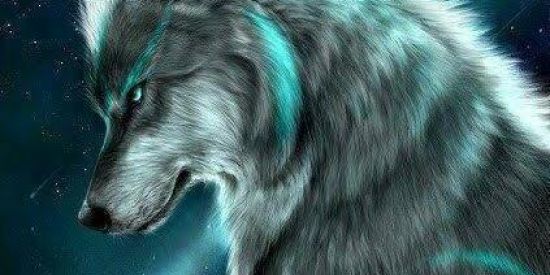 Imagem do grupo de WhatsApp Zueira 💯 limites🔥