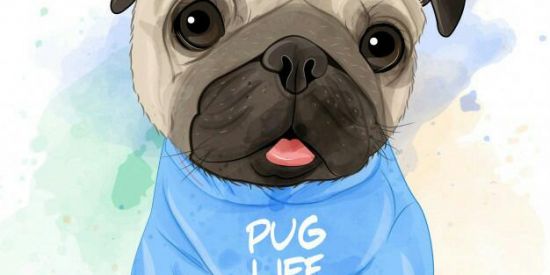 Imagem do grupo de WhatsApp 《°•Familia Smitt•°》