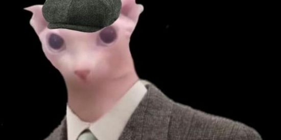 Imagem do grupo de WhatsApp 〽️「fሀርkվፀሀ-sнıтρσsтıηg」🔱