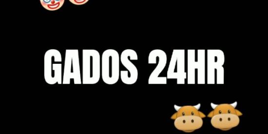 Imagem do grupo de WhatsApp GADOS 24HR🤡🤡