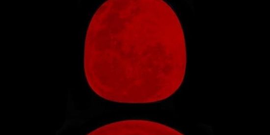 Imagem do grupo de WhatsApp Figurinhas top 🥰🤝🏻