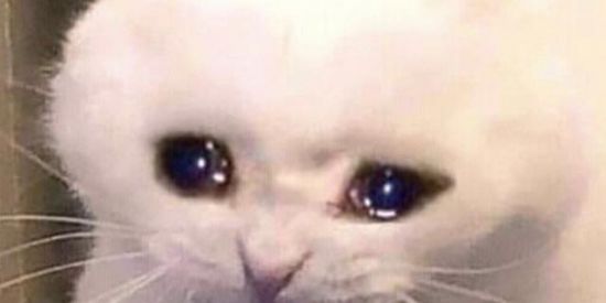 Imagem do grupo de WhatsApp Novax amizades😎