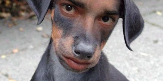 Imagem do grupo de WhatsApp Fofocas das gugu 👀🛐🏳️‍🌈