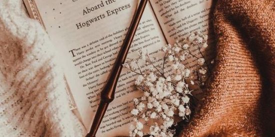 Imagem do grupo de WhatsApp Bookstan📖