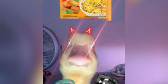 Imagem do grupo de WhatsApp 🥋🤬SHITS E MIOJOS♓︎🤬🥋