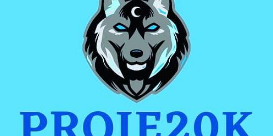 Imagem do grupo de WhatsApp PROJETO 20K📈😎📱✅