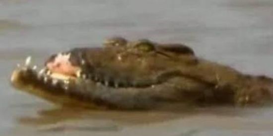 Imagem do grupo de WhatsApp TROPA DA 🤡⃤LACOSTE  ☯︎