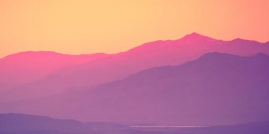 Imagem do grupo de WhatsApp Quem vai perder ?