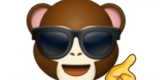 Imagem do grupo de WhatsApp Mamacos e sapinhos