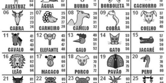 Imagem do grupo de WhatsApp 6 pra 100 pra sábado 19:00