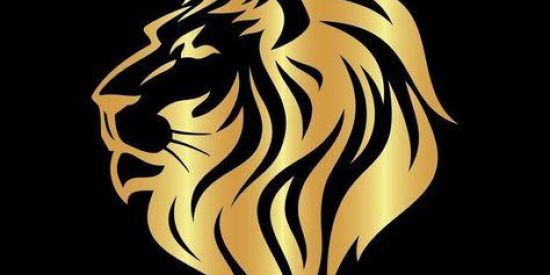 Imagem do grupo de WhatsApp online milionario#11