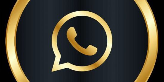 Imagem do grupo de WhatsApp Divulgação 0.1