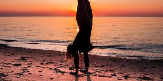 Imagem do grupo de WhatsApp Calisthenics 🦐