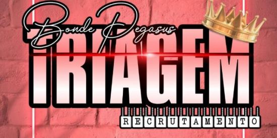 Imagem do grupo de WhatsApp 🦄RECRUTAMENTO ♔PǤ'ร♔2🦄