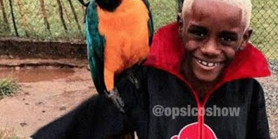 Imagem do grupo de WhatsApp c a b a r e  d o  s h i t