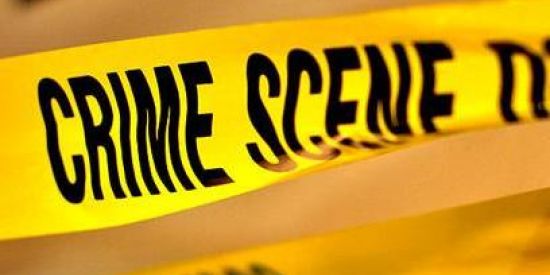 Imagem do grupo de WhatsApp Profissão Criminal 🚨