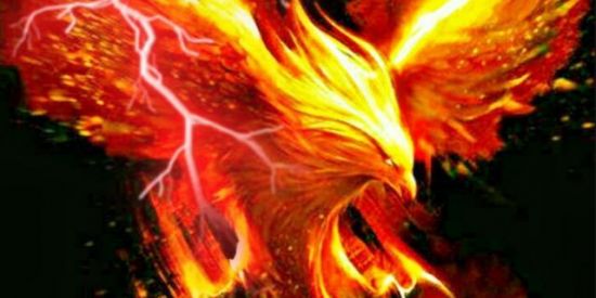 Imagem do grupo de WhatsApp TROPA⃟💥DA FENIX†弔